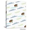 Hammermill Fore MP Recycled Colored Paper