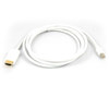 Hammerhead Mini DisplayPort 6/HAM2468