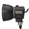 Hensel C-Light 1000 3608, Hensel brand