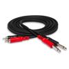 Hosa Two 1/4" Phone Male CPR202
