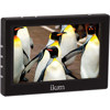ikan VL5 5" HDMI Monitor VL5-KIT-E6