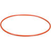 Ikelite O-Ring for the Video Housings DC572 &amp; DC200