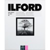 Ilford Multigrade IV RC Deluxe Resin Coated VC Variable Contrast Black & White Enlarging Paper 1770746, Ilford brand