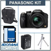 Panasonic Lumix DMC-FZ150 Digital Camera Kit - Black - with 16GB SD Memory Card, Camera Case, Table Top Tripod, Spare BMB9 Lithium Ion Type Battery