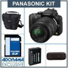 Panasonic Lumix DMC-G3 Micro System DSLR - Black- Camera Kit, with 14 - 42mm /F3.5-5.6 Lens, 8GB SD Memory Card, Spare DMW-BLD10 Lithium Ion Type Battery, Camera Case, USB 2.0 SD Card Reader