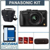 Panasonic Lumix DMC-GX1 16MP Camera Body with 14-42mm Premium X Power Zoom Lens, Black - Bundle - with 16GB SD Memory Card, Camera Case, USB 2.0 SD Card Reader.FREE: Red Giant Adorama Production Bundle for PC/Mac a $599.00 Retail Value