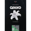 Pictorico Gekko Green PICT35018