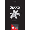 Pictorico Gekko Red PICT35022, Computer Systems > Inks / Toners & Media > Inkjet & Laser Printer Paper > Pictorico Inkjet & Laser Printer Paper