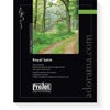 Projet Royal Satin AUSJETSM081020, Projet brand