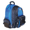 iSafe Built-in Alarm Collegiate Laptop Backpack CL1003 - $79.98