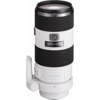 Sony 70-200mm f/2.8 G-Series a (Alpha) Mount Digital SLR Telephoto Zoom Lens SAL70200G