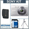 Sony Cyber-Shot DSC-W650 Digital Camera Kit - Silver - with 4GB SD Memory Card, Camera Case, Table Top Tripod