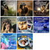 Auto FX Plug-in Suite 1.0, with Mystical Focus, Mystical Lighting and Ambiance 2.0, Mystical Tint Tone and Color 2.0 Software for Mac &amp; Windows