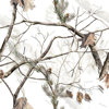 LensCoat Lens Cover for the Nikon 1.4x, 1.7x and 2x Tele Extender Set - Realtree Hardwoods Snow (hws)