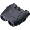 Leupold 8x25 BX-1 Rogue, Water Proof Porro Prism Binocular with 6.4 Degree Angle of View, Black, U.S.A.