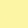 Lee CC Yellow 025 Compensating Filter Y025P3