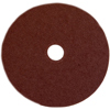 Logan Graphics 10" Sanding Disk for F200-2 - 1 Piece