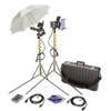 Lowel ViP GO Pro Visions Kit, Quartz Lighting Outfit with GO-85 Hard Case