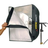 Lowel Rifa LC-55eX eXchange-Lite LC55EX
