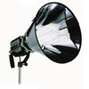 Lowel Scandles Tungsten Light, Multi-Tasking Fluorescent with Cone Reflector.