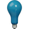 EBW PhotoFlood Lamp 500w 120v (Blue, 4800k)