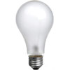 ECA PhotoFlood Lamp 250w 120v (3200k)