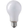 ECT PhotoFlood Lamp 500w 120v (3200k) ECT