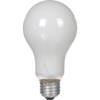 Adorama PH211 Enlarger Lamp 75w 125v 1001267