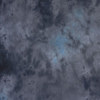 Lastolite Washable Series 10x24' Muslin Background LL LB7850