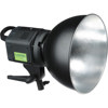 Lastolite Ray D8 500 Watt Tungsten Light Head, Lastolite brand