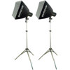 Adorama Budget Studio Monolight Softbox Kit #12 BSBK12