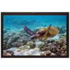 Marshall V-R201-IMD-TE 20" Widescreen High Definition Rack Mountable Monitor V-R201-IMD-TE