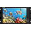 Marshall V-LCD17H-2HD 17" Rack Mount LCD Monitor V-LCD17H-2HD