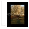 Adorama 11x14" Double Weight Mount Boards 1720