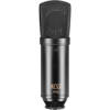 Large Microphone