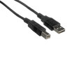MXL USB-CABLE-06 6 Foot USB Type A Male USB-CABLE-06