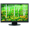 NEC AccuSync 22" Widescreen LCD Monitor AS2211WM-BK, NEC brand