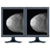 NEC 20.1" Grayscale 5-MegaPixel Diagnostic Monitor MD205MG, NEC brand