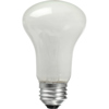 Novatron 100 Watt Tungsten Modeling Lamp.