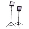 Interfit Photographic CyberFlash 300 Kit, with Two 300 watt second Flash Heads &amp; Lightstands, 600ws Total Output.