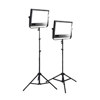 Interfit Photographic DigitFlash 1000 Kit, with Two 1000 watt second Flash Heads &amp; Lightstands, 2000ws Total Output.