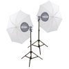 Interfit Photographic EZ-Lite Tungsten Light Kit INT160