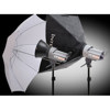 Interfit Photographic Ex300 Two Head, Softbox Umbrella Kit, with 2 300 w/s Monolights, Stands, Softbox, Umbrella &amp; Carry Case. FREE! Additional 24" Softbox