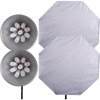 Interfit Photographic INT217 Super Cool Lite 9 Twin Head Kit, with Softboxes &amp; 18 28 watt Fluorescent Lamps, 5200 K Color Temperature