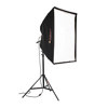 Photoflex Starlite Large Kit, with 1000 watt Starlite, Connector, Large Silverdome &amp; 13' Lightstand