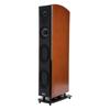 Polk Audio LSi M 707 Floor Standing Speaker LSI M707CH