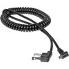 Paramount 5' Coiled Sync Cord, Household (AC) to Nikon Push Lock