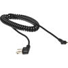 Paramount 5' Coiled Sync Cord, Household (AC) to PC Long Tip