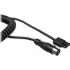 Paramount 5' Coiled Power Cord PMCS5