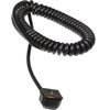 Paramount 5' Coiled Sync Cord PMSHS6C - $19.95